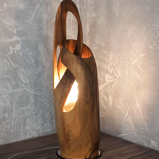 Table Lamp Mobius Illuminated  Sculpture